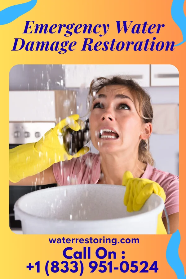 Emergency Water Damage Restoration in Gillett, AR